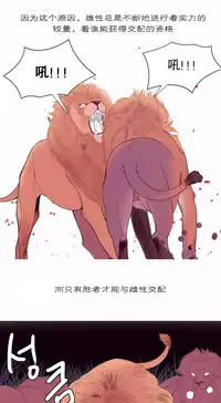 [Rozer] A World that I Rule | 我统治的世界 Ch.1-22 [Chinese]