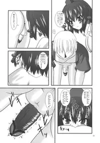 (C78) [Endless Requiem (yasha)] Touhou DoM Hoi Hoi ~Shameimaru Hen~ (Touhou Project)