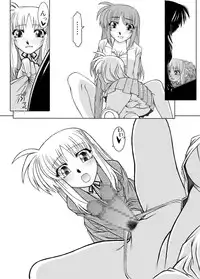 [Fresnel Lens (Hirano Kana)] 19→13 VerF (Mahou Shoujo Lyrical Nanoha) [Digital]