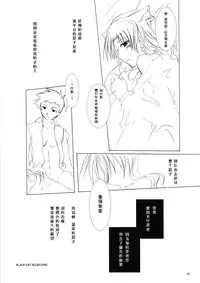 (C70) [Chicken Chicken Machine (Tanabe Satoru)] Mahoshiki (Fate/stay night) [Chinese]