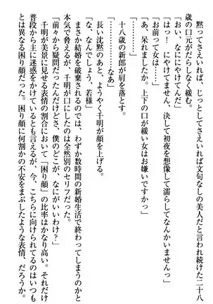 年上メイドの新婚日記