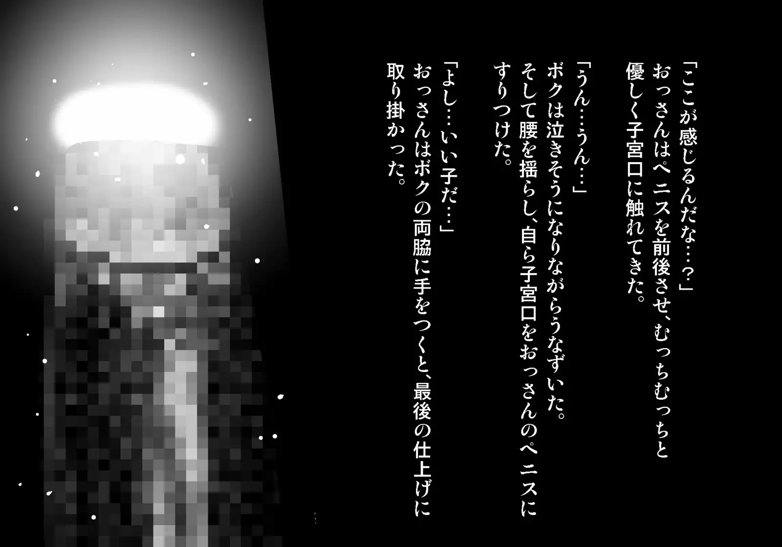 フェアリーセティ