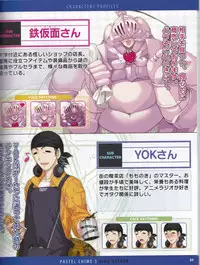 Pastel Chime 3 Guide Book + Extras