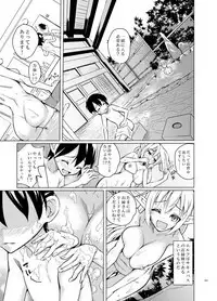 Toaru Elf o Hikitorimashite Soushuuhen