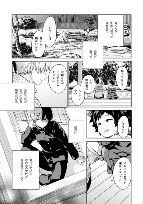 Sayonara Schrödinger no Neko I