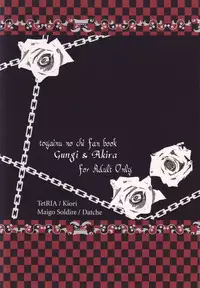 (C76) [TetRIA {Maigo Soldire, datche)] Paradise Lesson (Togainu no Chi)