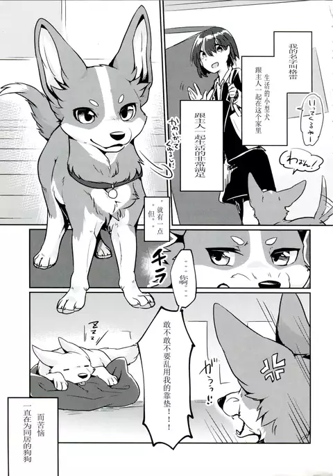 1DK, Bokura to. | 一居室下的我们