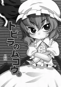 (Aka no Hiroba) [USO Seisakusho (Harukaze Unipo)] Tobira no Mukou. (Touhou Project)