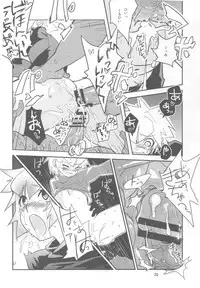 (C78) [Water Garden (Hekyu)] BARASIT (Dragon Quest Retsuden Roto no Monshou)