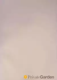 (C93) [Private Garden (Tsurusaki Takahiro)] Illustrious Shabaora (Azur Lane)