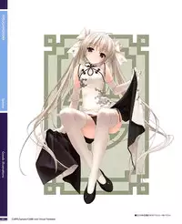 C82 CUFFS/Sphere/CUBE mini Visual Fan Book