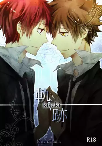 (C80) [Alpenreise (Ayano Ena)] Kiseki (Katekyo Hitman REBORN!)