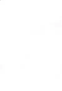 Chiisakute Usui Hon 2010 Fuyu