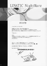 [Raiden Labo (Raiden)] Lunatic Night Mare (Touhou Project)