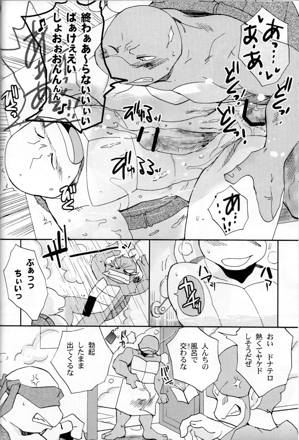 FALLEN - Raph vs Leo - Teenage Mutant Ninja Turtles, TMNT doujinshi