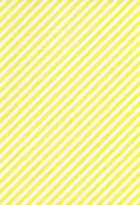 (C75) [Sadistic Mary (Hattori Mitsuka)] FLASH BACK 20081230 (Bleach)