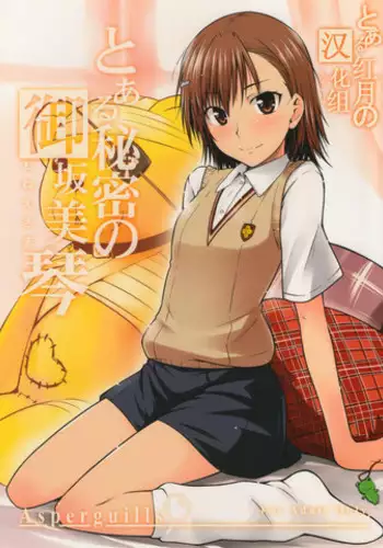 (C77) [Aspergillus (Okara)] Toaru Himitsu no Onee-sama (Toaru Kagaku no Railgun) [Chinese] [红月汉化组] [Decensored]