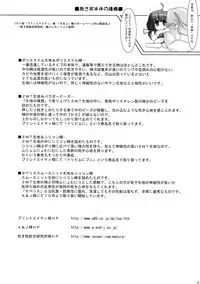 [C.R's NEST (C.R)] Dakimakura no Tsukaikata