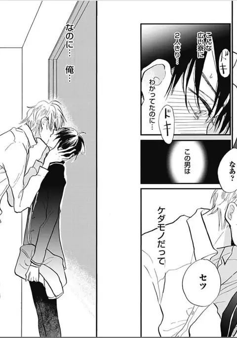 Seishun Shikkaku