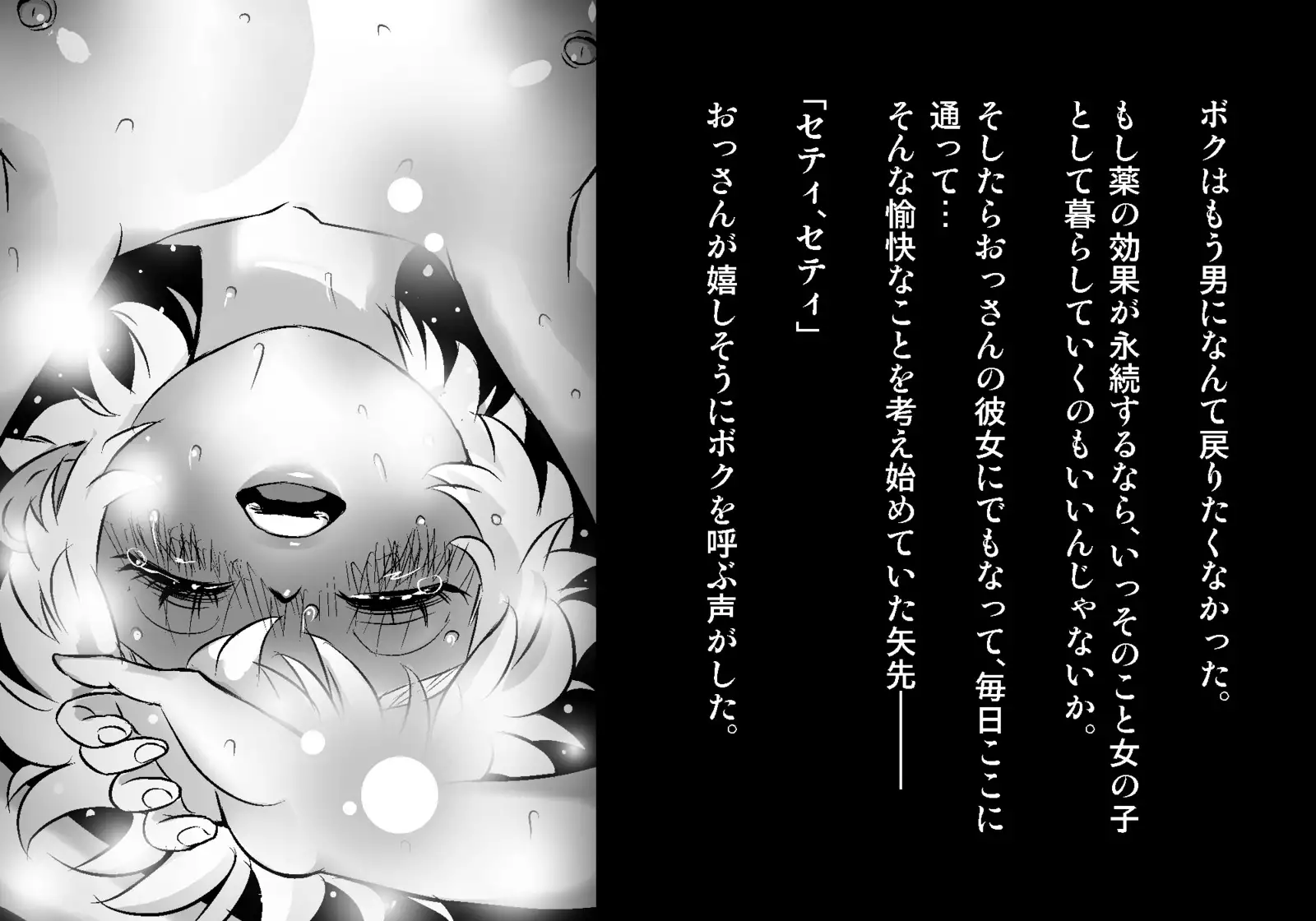 フェアリーセティ