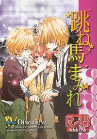 [Hitman Reborn-DESORDEN] 跳ね馬まみれ (yaoi)