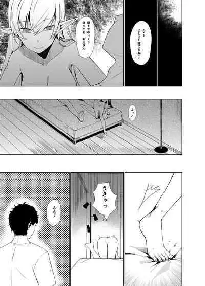 サキュバスとえっちする本。