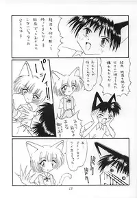 (C51) [Nekomimi Sorcery (Masamineko)] Ebaneko (Neon Genesis Evangelion)