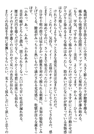 年上メイドの新婚日記
