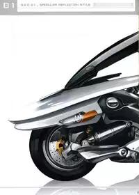 (C70) [S.E.C (Nagi)] S.E.C 01 SPECULAR REFLECTION