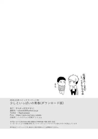 Sukoshi to Ippai no Seishun