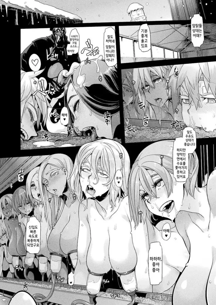 Poultry Farm of Chicken Planet | 치킨행성의 양계장