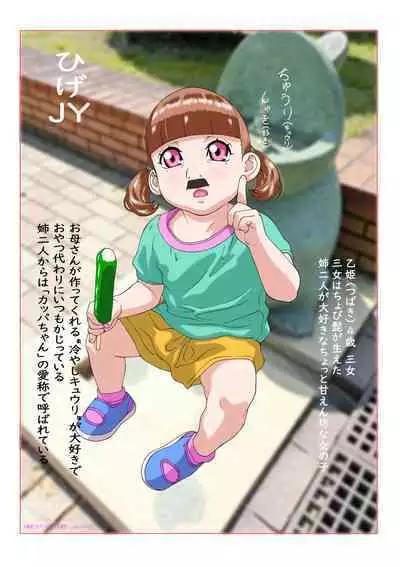 Digicon 4 Digital Contents Illust Shuu Vol. 5