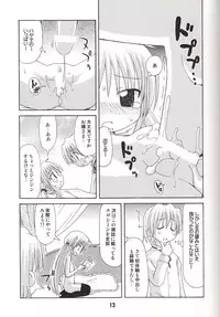 (C72) [Shinohara Heavy Industry (Various)] Hinagix (Hayate no Gotoku!)