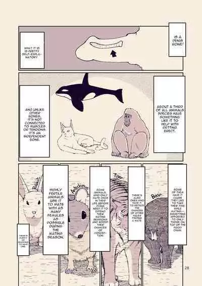 Dosukebe Elf no Ishukan Nikki 8