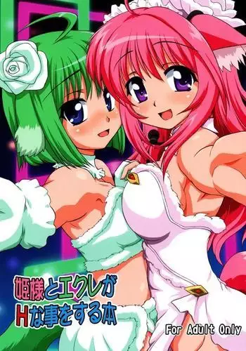 Hime-sama to Eclair ga H-na Koto wo suru Hon