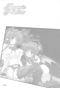 (C80) [Reverse Noise (Yamu)] Pragmatic Phantasm (Touhou Project)