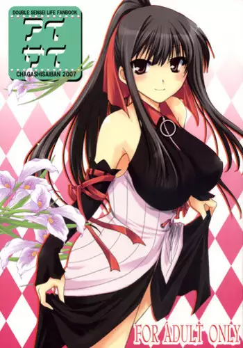 (C72) [CHAGASHI SAIBAN (Yamabuki Mook)] Aisai (Double Sensei Life) [English] [Slayerjammer]