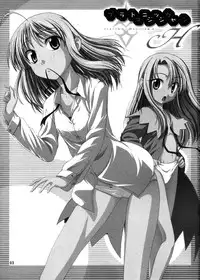 (C67) [Jishou Seijunha (Hiroyuki)] PLATONIC MAGICIAN H (Fate/stay night)