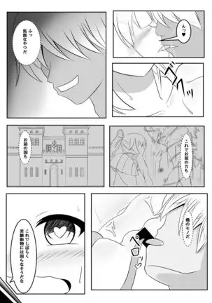 Fuuin no Miko ~Soshite Oujo wa Kuni o Horobosu~