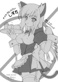 (SC31) [Wireframe (Yuuki Hagure)] night craver shizuka (Deru Toko Demasho!)