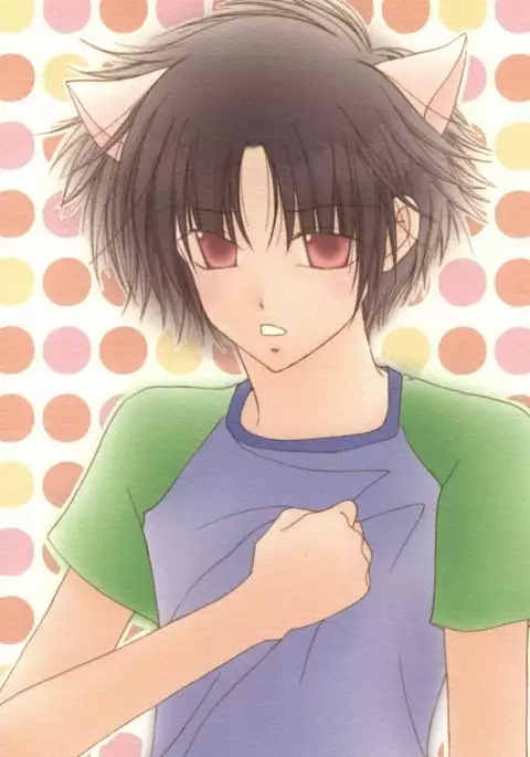 Nekomimi Zouryouchuu