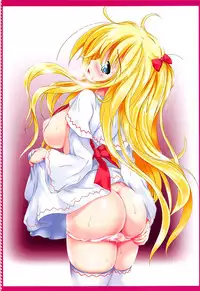 (C92) [Luft Forst (KAZAMI Rei)] SURPRIZE SPRING! (Touhou Project)