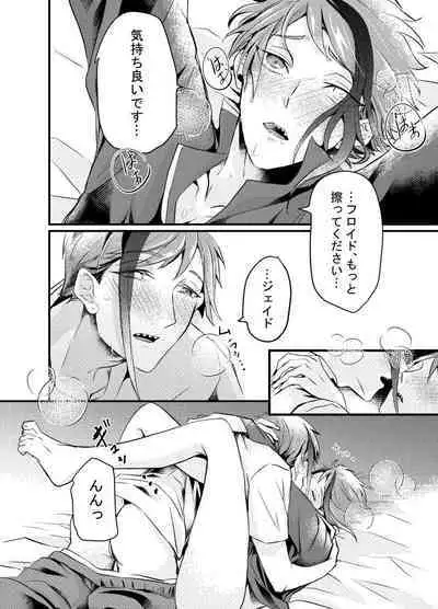 Shoya wa Shippai Suru to Iu Keredo