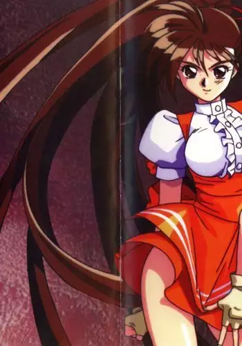 V.G.Perfect Collection Illustrations