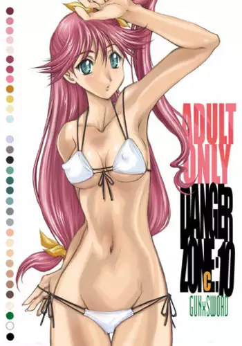 (C72) [Takotsubo Club (Gojou Shino)] DANGER ZONE 10-C (GUN X SWORD) [Incomplete][Digital]