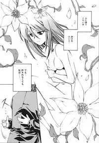 [Benjamin] Stray Sheep