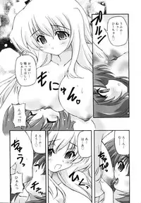 COMIC RiN 2007-11