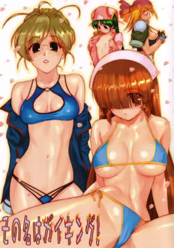 [Archives (Hechi)] Sono na wa Gaiking! (Gaiking)