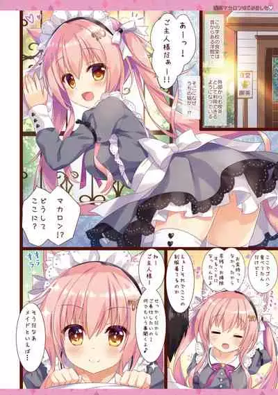 Kissa Macaron Hajimemashita