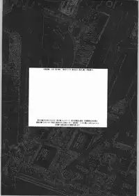 (C65) [Junk Arts (Nukiyama Gaisei)] An Exclusive Browser (Battle Programmer Shirase)